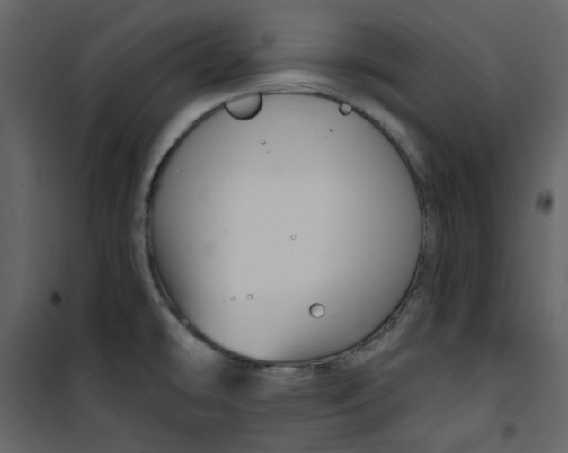 X0000100781478200807171430