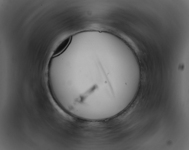 X0000100781479200807171430