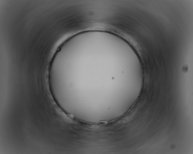 X0000100781480200807171430
