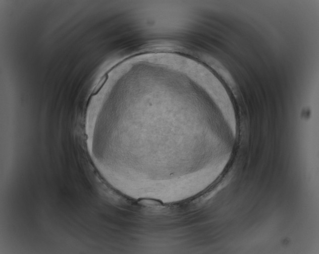 X0000100781481200807171430