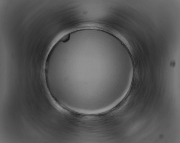 X0000100781482200807171430