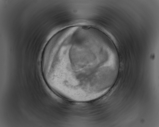 X0000100781483200807171430