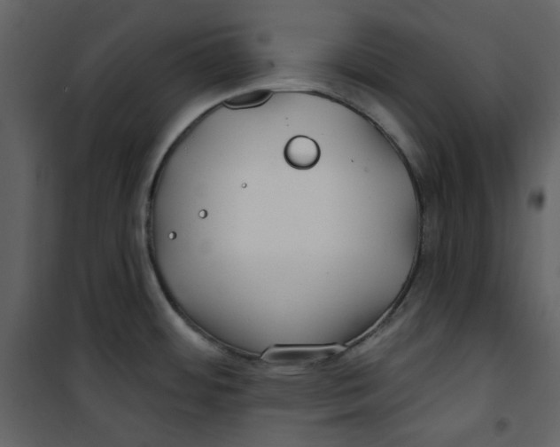 X0000100781484200807171430