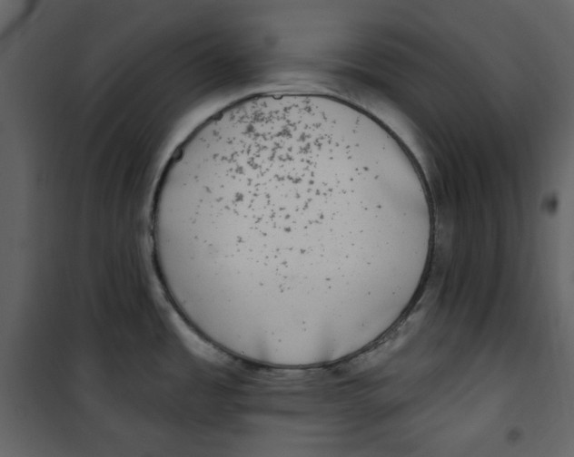 X0000100781485200807171430