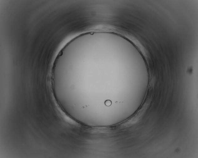 X0000100781486200807171430