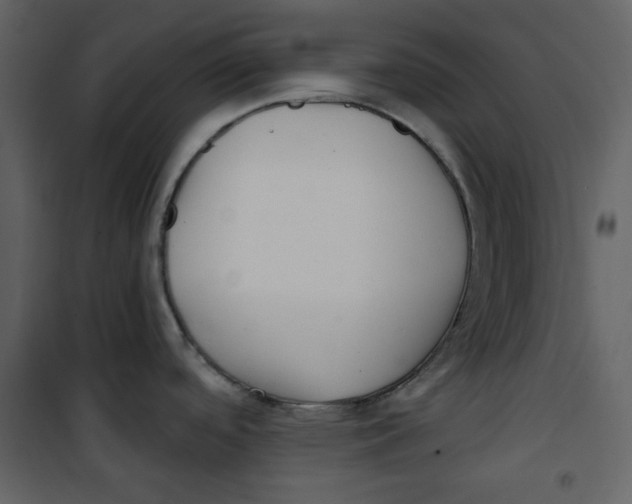 X0000100781488200807171430