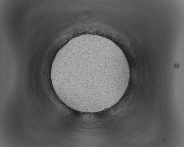 X0000100781489200807171429