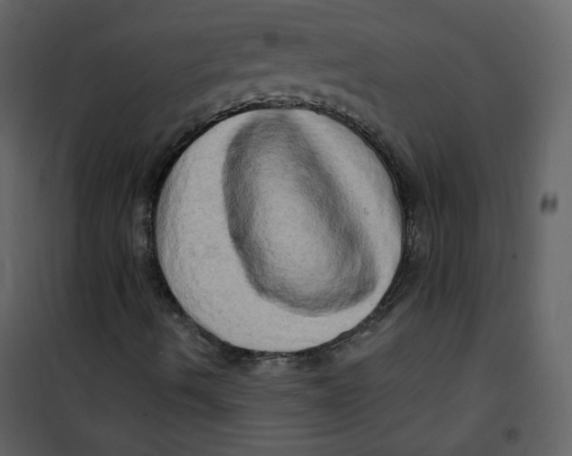 X0000100781490200807171429