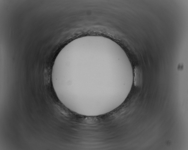 X0000100781491200807171429