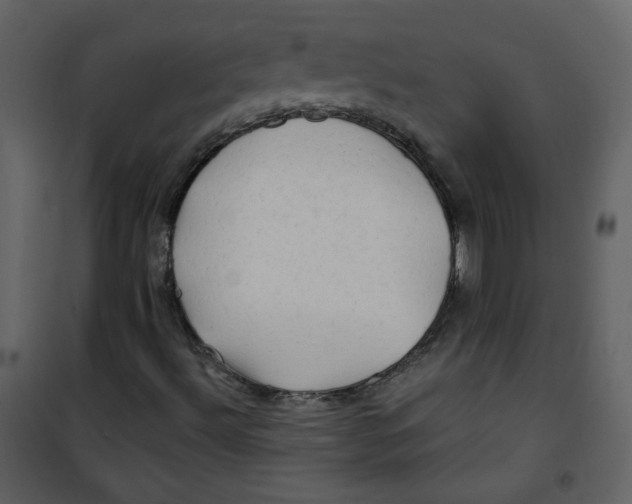 X0000100781492200807171429