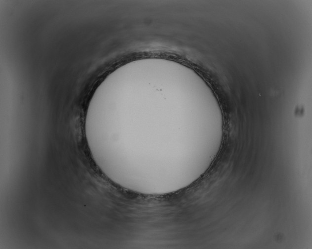 X0000100781493200807171429