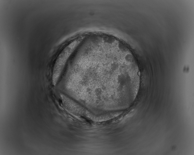 X0000100781494200807171429