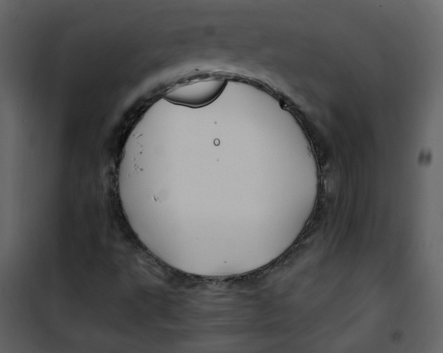 X0000100781495200807171429