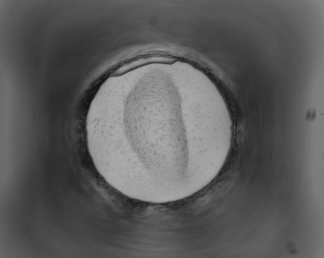 X0000100781496200807171429