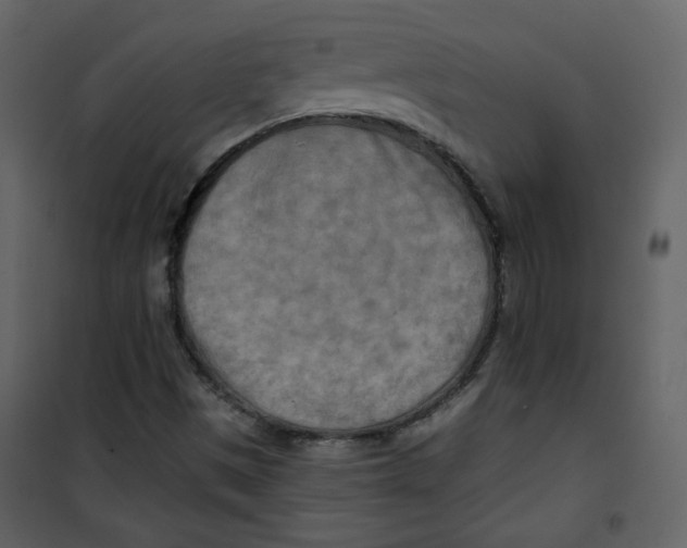 X0000100781497200807171429