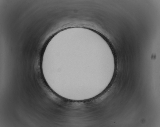 X0000100781498200807171429