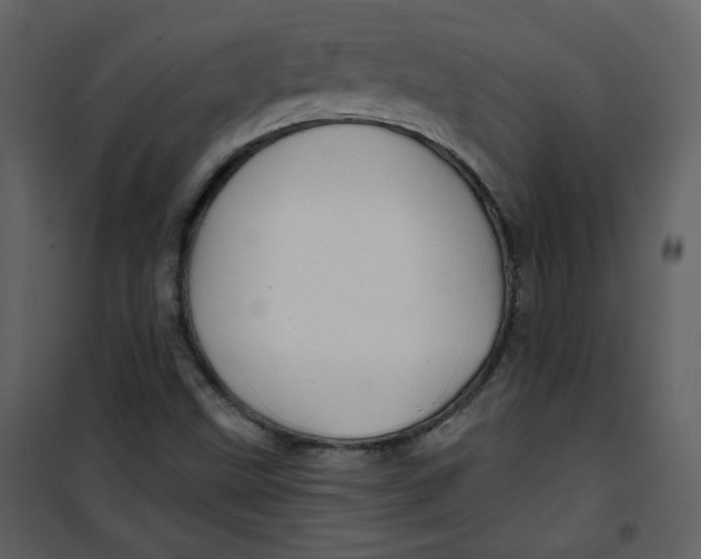 X0000100781499200807171429