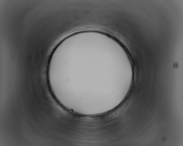 X0000100781500200807171429