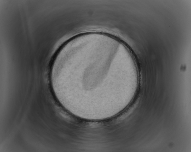 X0000100781501200807171429