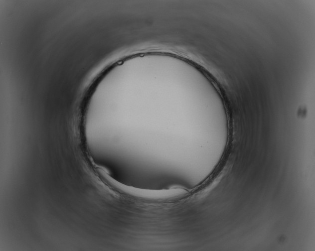 X0000100781502200807171430