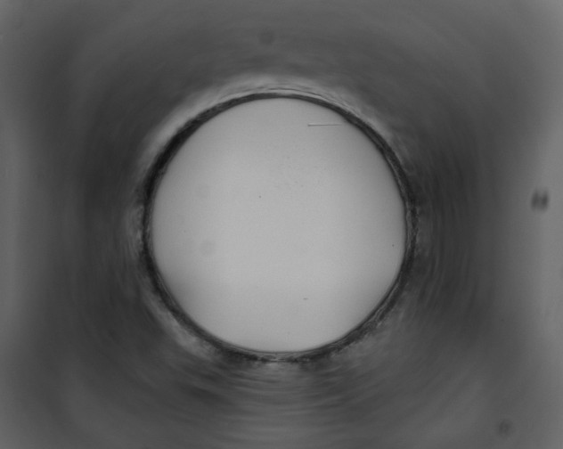 X0000100781503200807171430