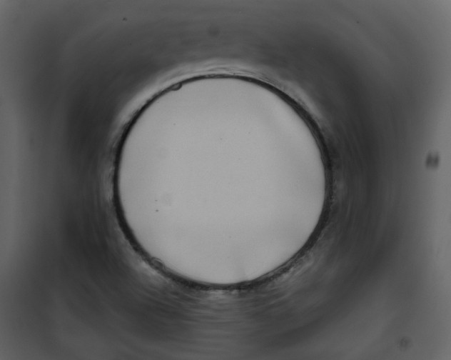 X0000100781504200807171430