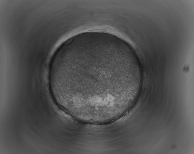X0000100781506200807171430