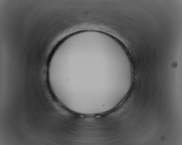 X0000100781507200807171430
