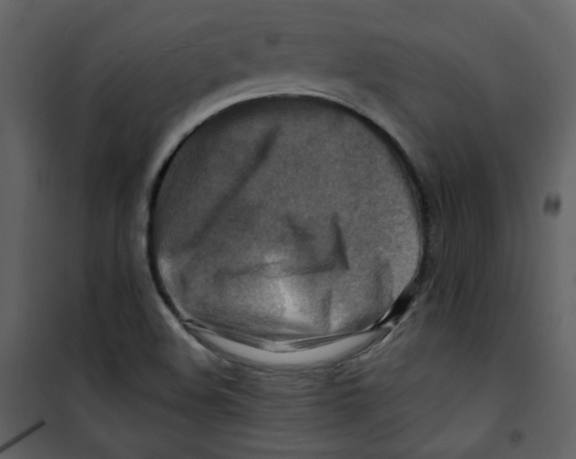X0000100781508200807171430
