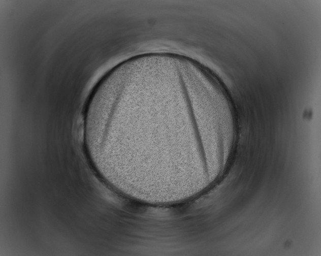 X0000100781509200807171430