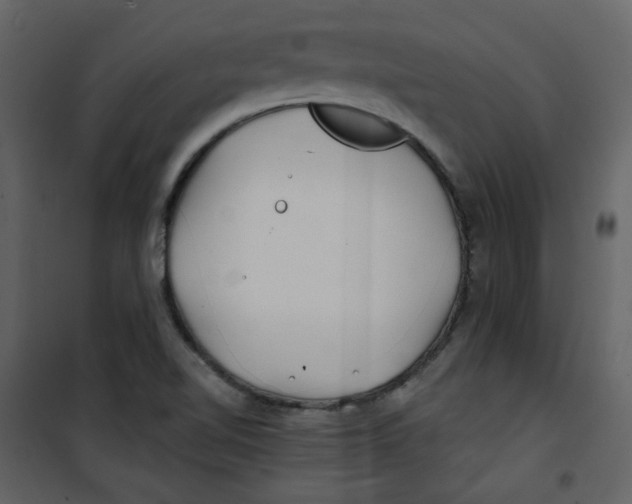 X0000100781510200807171430