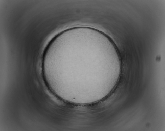 X0000100781511200807171430