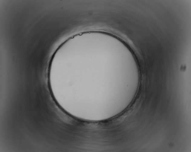 X0000100781512200807171430