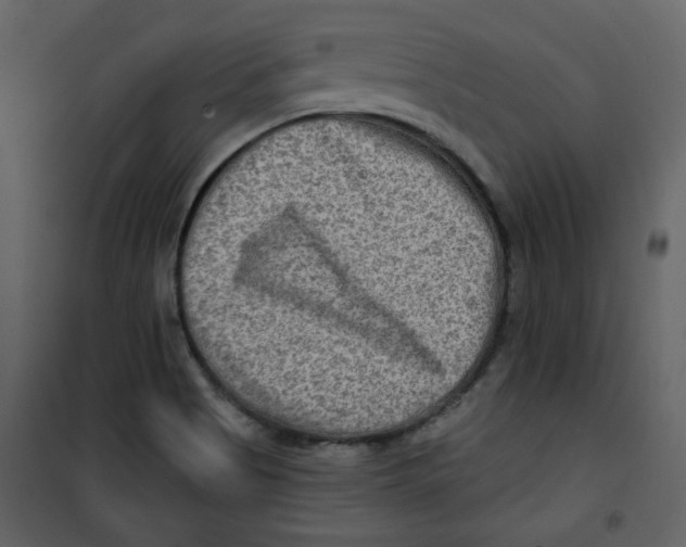 X0000100781513200807171430