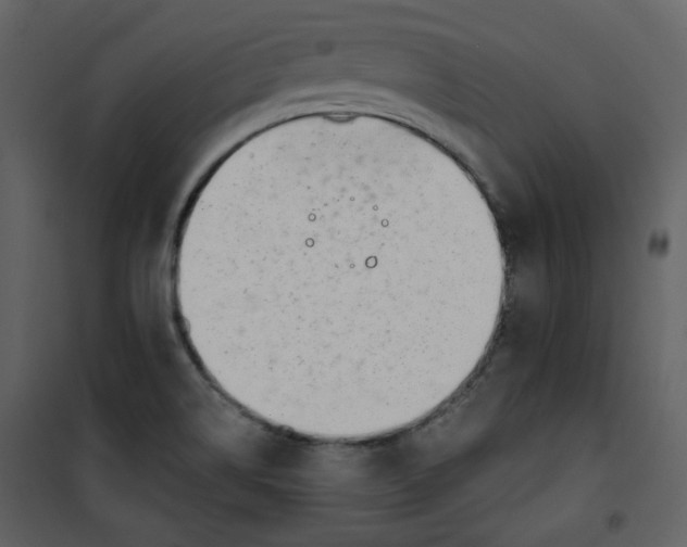 X0000100781514200807171430