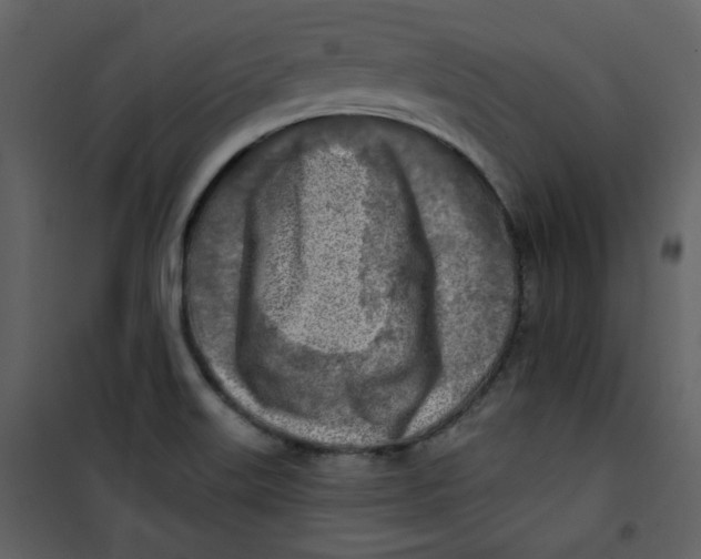 X0000100781515200807171430