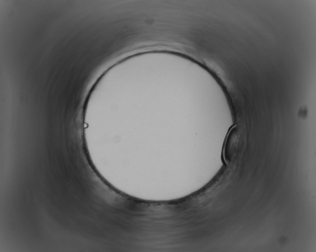 X0000100781516200807171430