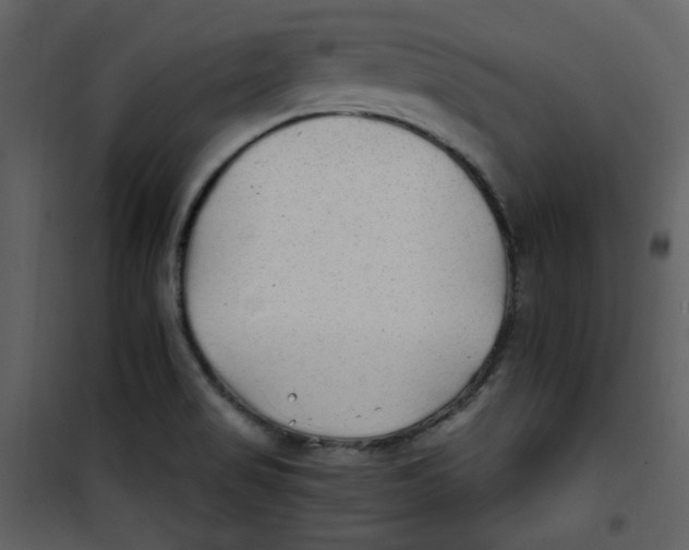 X0000100781517200807171430