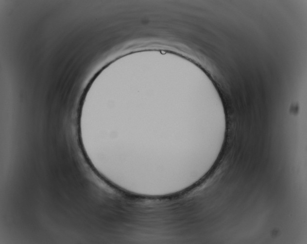 X0000100781518200807171430