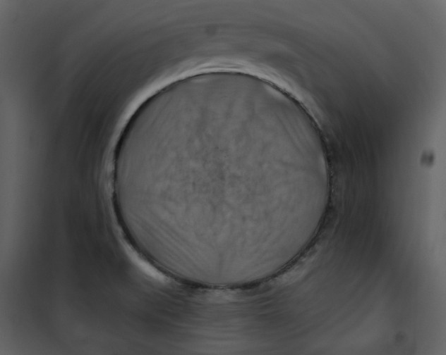 X0000100781519200807171430