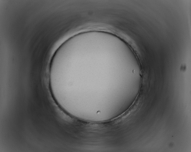X0000100781520200807171430