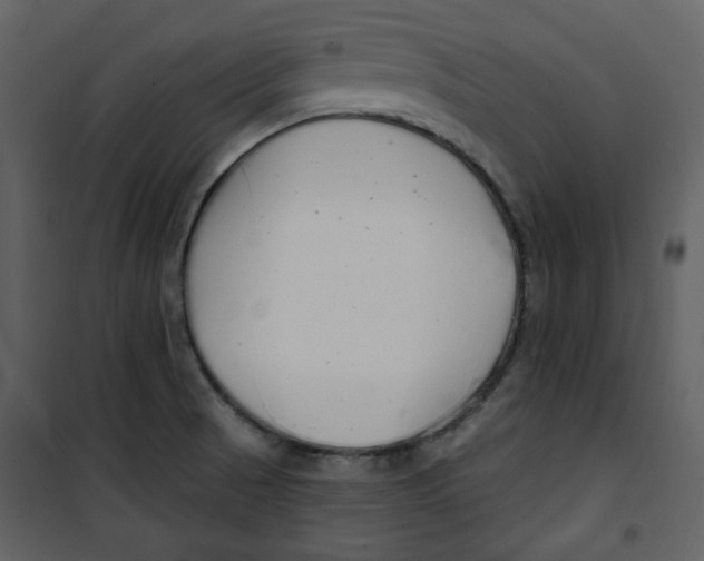 X0000100781521200807171430