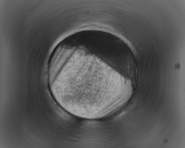 X0000100781522200807171430