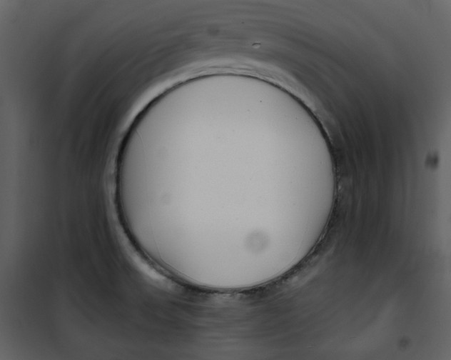 X0000100781523200807171430