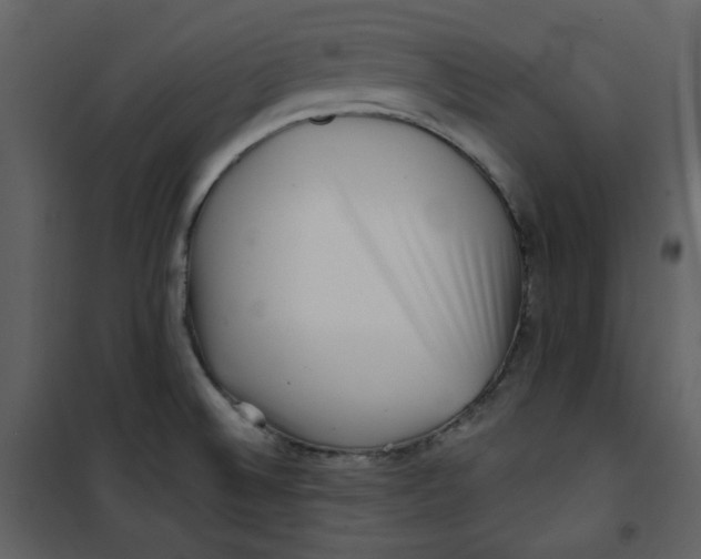 X0000100781524200807171430
