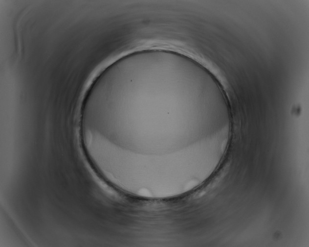 X0000100781525200807171430