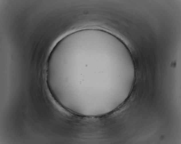 X0000100781526200807171430
