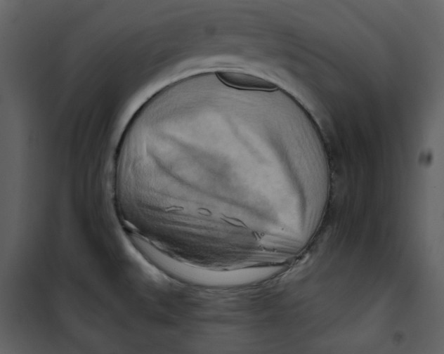 X0000100781527200807171430