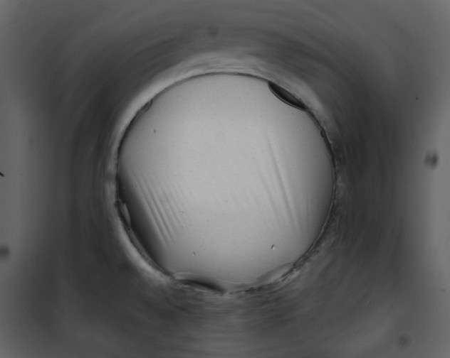 X0000100781528200807171430