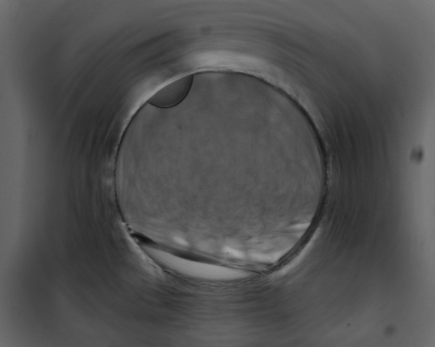 X0000100781529200807171430